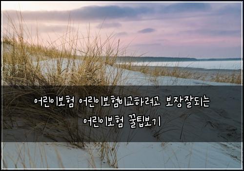 어린이보험 어린이보험비교하려고 보장잘되는 어린이보험 꿀팁보기