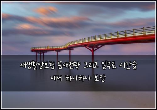 새생활암보험 틈새전략  그리고 일부로 시간을 내서 하나하나 보장