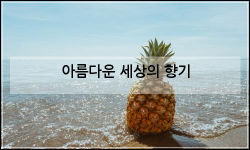 오늘의 이미지