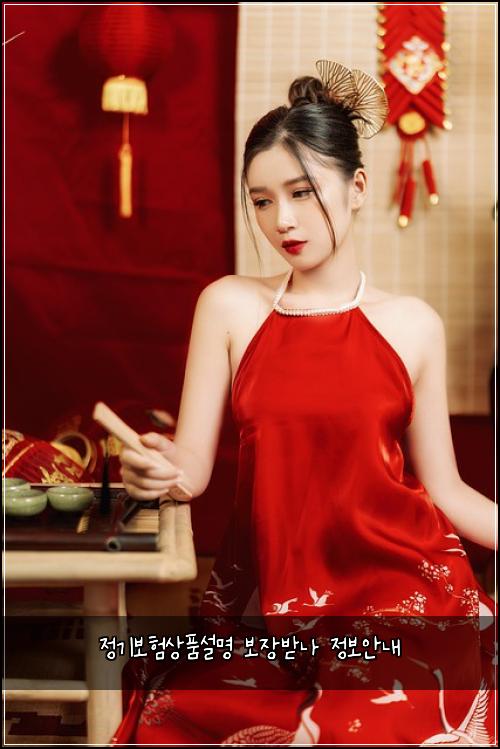 정기보험상품설명 보장받나 정보안내