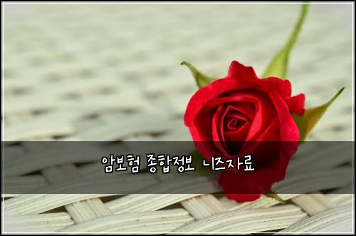 암보험 종합정보  니즈자료