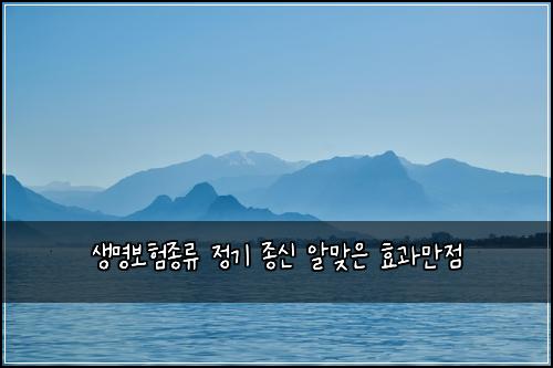 생명보험종류 정기 종신 알맞은 효과만점