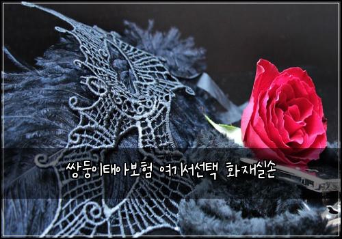 쌍둥이태아보험 여기서선택  화재실손