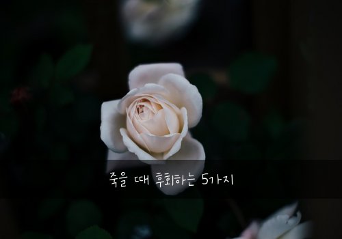 죽을 때 후회하는 5가지