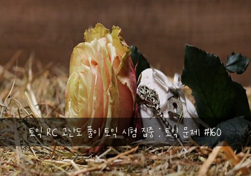 토익 RC 고난도 풀이 토익 시험 집중 : 토익 문제 #160