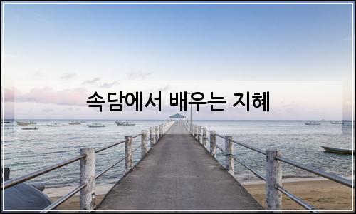 오늘의 이미지