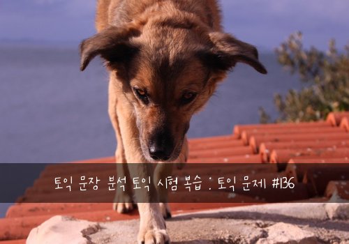 토익 문장 분석 토익 시험 복습 : 토익 문제 #136