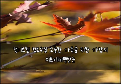 정기보험 정보수집  소중한 가족을 위한 가장의 의료비혜택받는