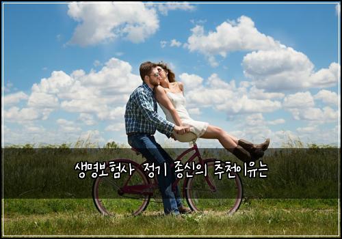 ์๋ช
๋ณดํ์ฌ ์ ๊ธฐ ์ข
์ ์ ์ถ์ฒ์ด์ ๋