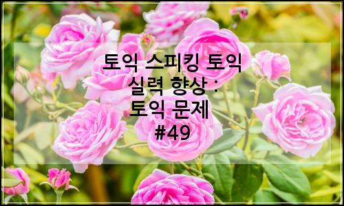 오늘의 이미지