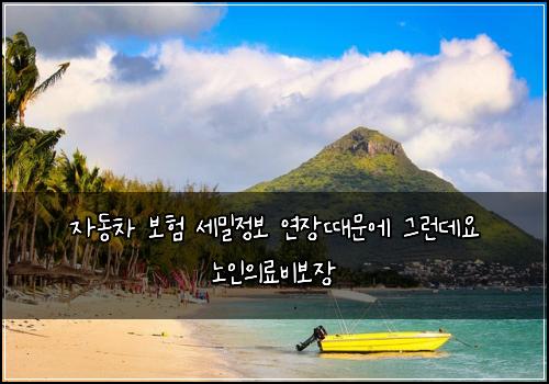 자동차 보험 세밀정보  연장때문에 그런데요 노인의료비보장