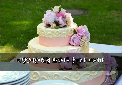 비갱신어린이보험 롸잇나우  롯데가 대세가