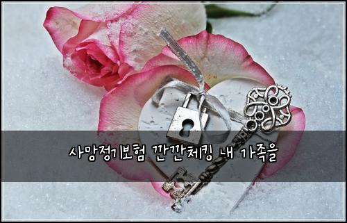 사망정기보험 깐깐체킹  내 가족을