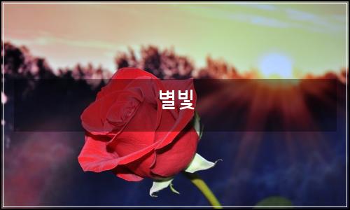 오늘의 이미지