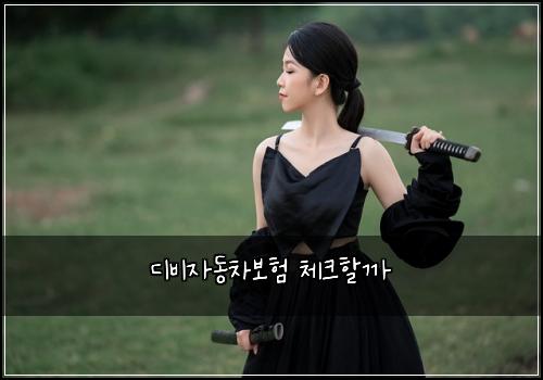 디비자동차보험 체크할까 