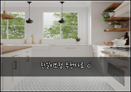 한실비보험 추천자료  ci