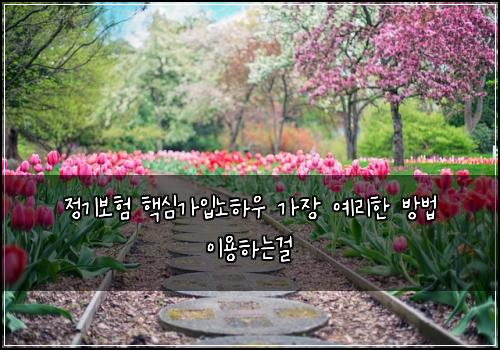 정기보험 핵심가입노하우  가장 예리한 방법 이용하는걸