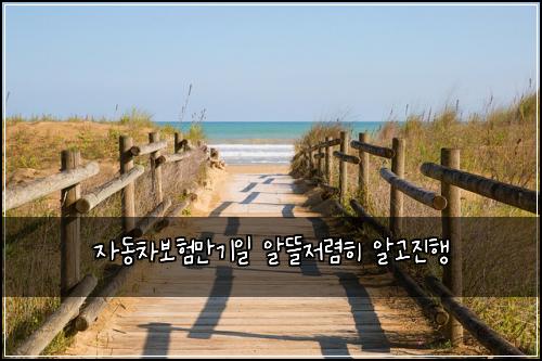 자동차보험만기일 알뜰저렴히 알고진행