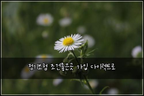 정기보험 조건좋은곳  가입 다이렉트로