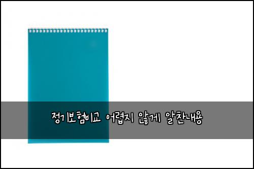 정기보험비교 어렵지 않게 알찬내용