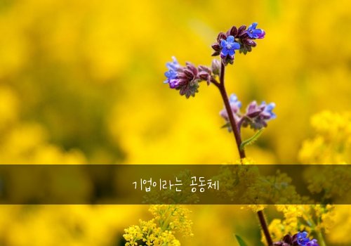 기업이라는 공동체