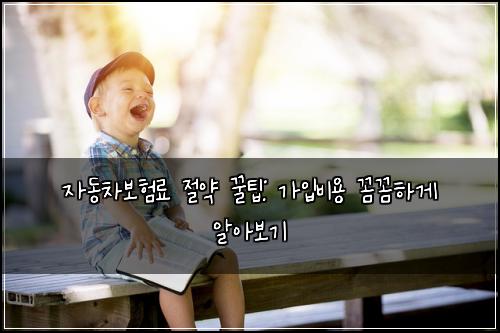 자동차보험료 절약 꿀팁: 가입비용 꼼꼼하게 알아보기