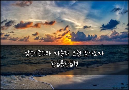 삼둥이중고차 자동차 보험 받아보자  환급률환급형