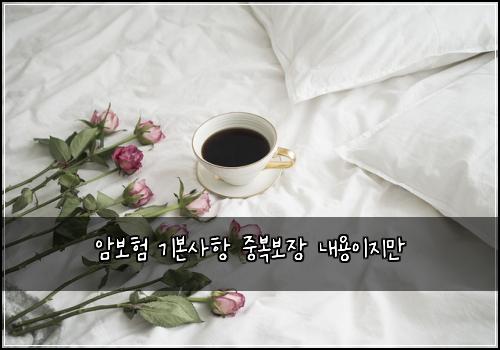 ์๋ณดํ ๊ธฐ๋ณธ์ฌํญ ์ค๋ณต๋ณด์ฅ ๋ด์ฉ์ด์ง๋ง