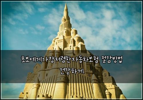 초보에게가장저렴한자동차보험 절감방법  건강하게