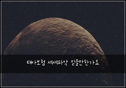 태아보험 세세파악  믿을만한가요