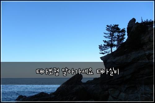 태아보험 알아가세요  태아실비