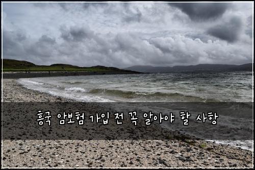 흥국 암보험 가입 전 꼭 알아야 할 사항