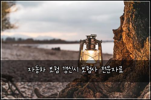 자동차 보험 갱신시 보험사 전문자료