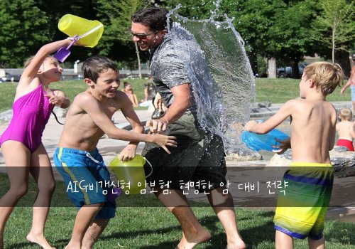  AIG비갱신형 암보험: 현명한 암 대비 전략