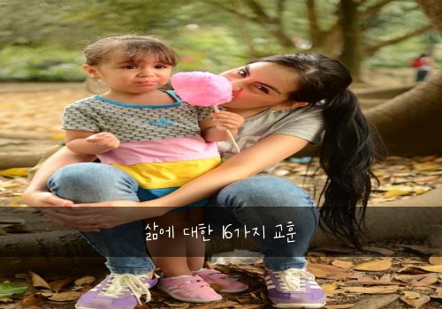 삶에 대한 16가지 교훈