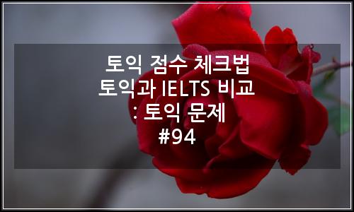 오늘의 이미지