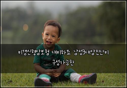 비갱신형암보험 대비하죠  남성3대암진단비 구성가능한