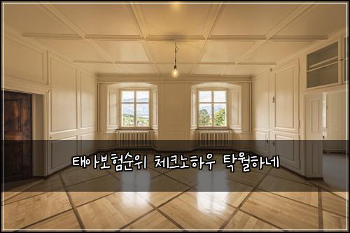태아보험순위 체크노하우 탁월하네