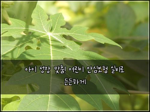 아이 성장 맞춤! 어린이 안심보험 실비로 든든하게