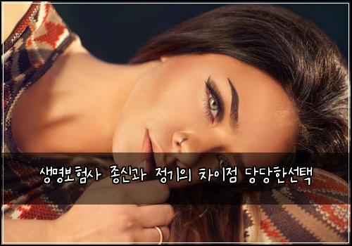 생명보험사 종신과 정기의 차이점 당당한선택