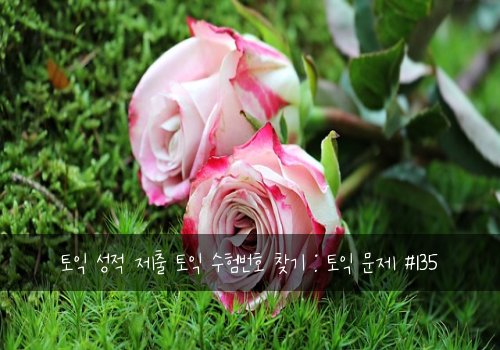 토익 성적 제출 토익 수험번호 찾기 : 토익 문제 #135