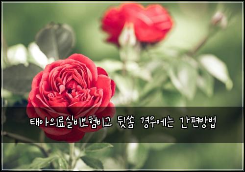 태아의료실비보험비교 뒷쏨 경우에는 간편방법