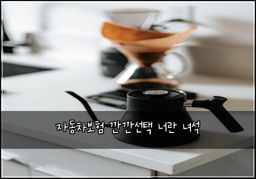 자동차보험 깐깐선택  너란 녀석