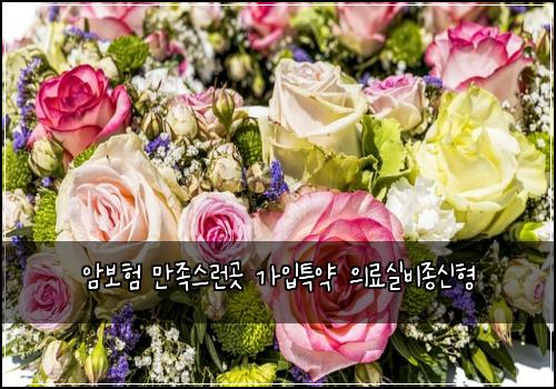 ์๋ณดํ ๋ง์กฑ์ค๋ฐ๊ณณ ๊ฐ์
ํน์ฝ ์๋ฃ์ค๋น์ข
์ ํ