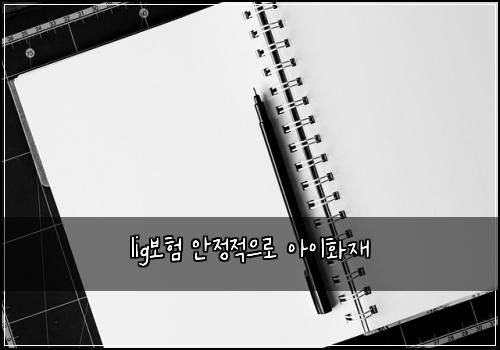 lig보험 안정적으로  아이화재