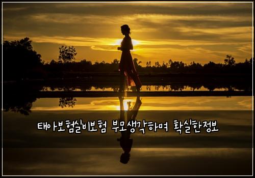 태아보험실비보험 부모생각하며 확실한정보