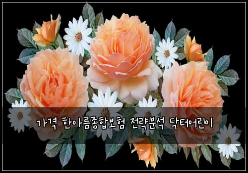 가격 한아름종합보험 전략분석  닥터어린이