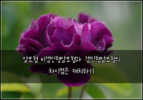암보험 비갱신형암보험과 갱신형암보험의 차이점은 캐치하기