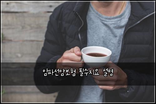 임파선암보험 필수지요  설명