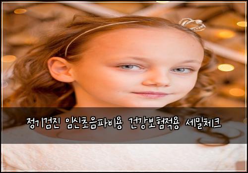 정기검진 임신초음파비용 건강보험적용 세밀체크